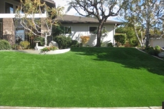 Artificial Lawn